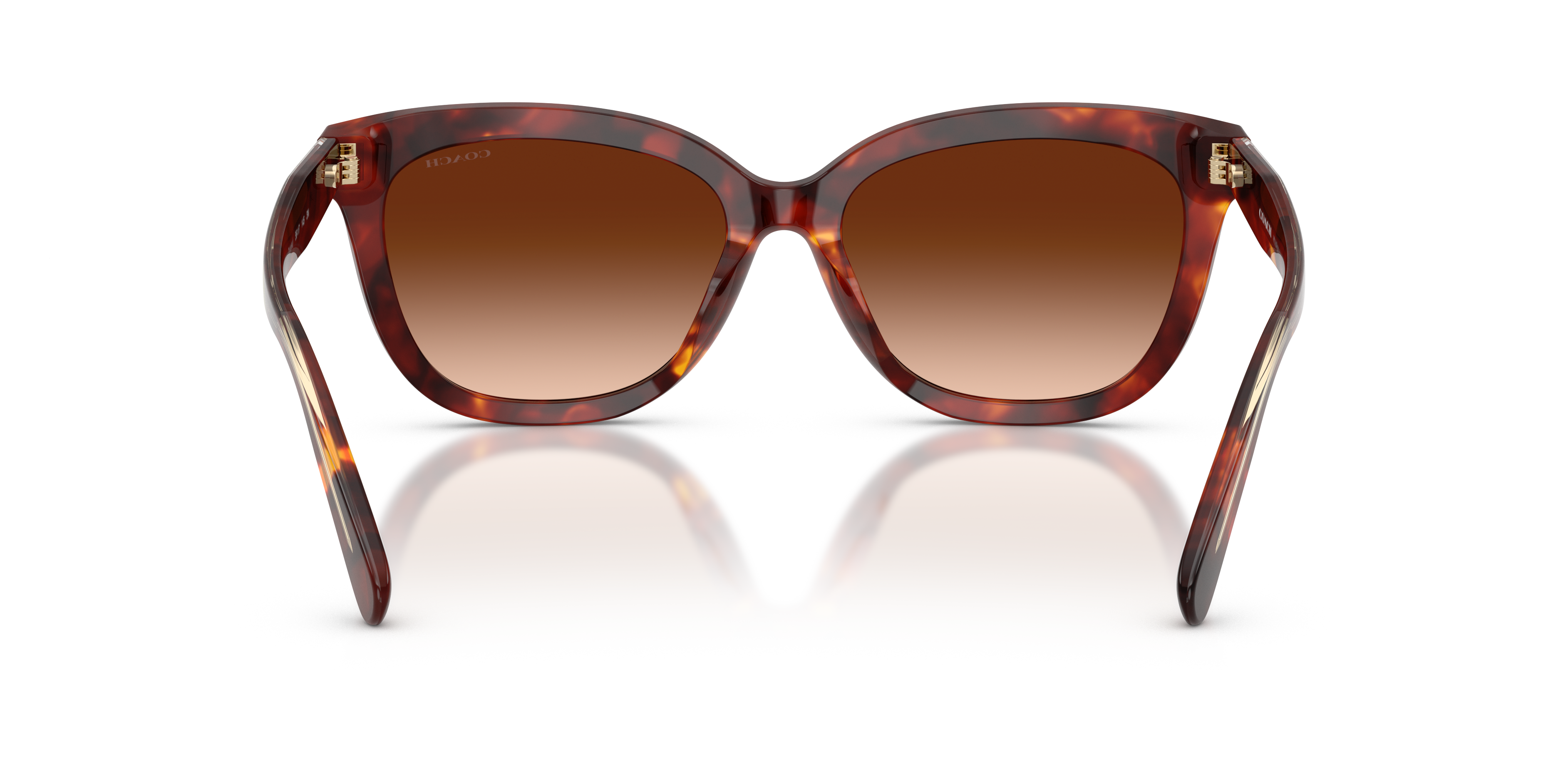 Coach HC8453U 593874 Cdp53 